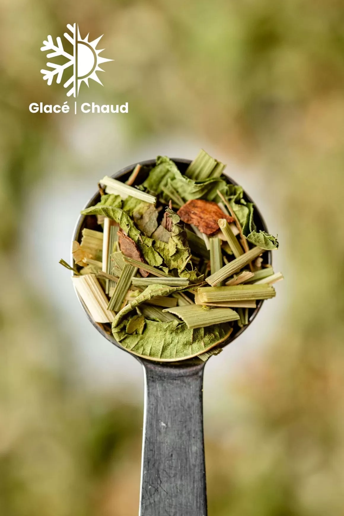 Thé Glacé | Tisane Bio^TEA HERITAGE Tisane Bio Thym Romarin - 100g